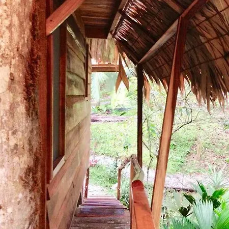 A Treehouse The Green Frog Romantic Setting & Pool Puerto Viejo de Talamanca Exterior photo