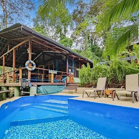 A Treehouse The Green Frog Romantic Setting & Pool Puerto Viejo de Talamanca Exterior photo
