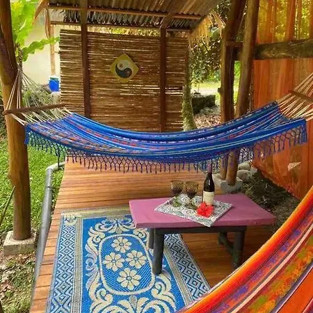 A Treehouse The Green Frog Romantic Setting & Pool Puerto Viejo de Talamanca Exterior photo