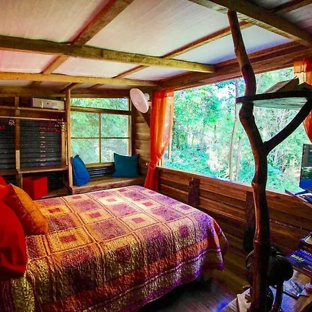A Treehouse The Green Frog Romantic Setting & Pool Puerto Viejo de Talamanca Exterior photo