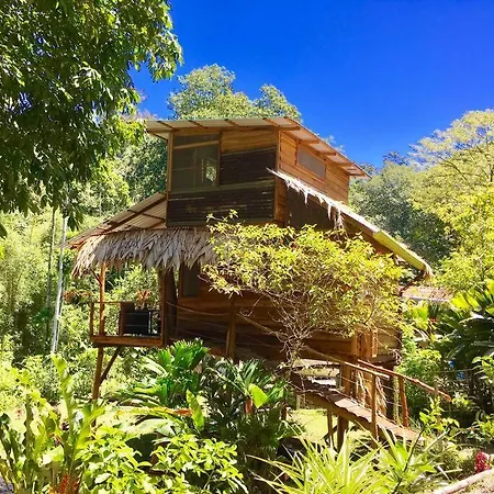 A Treehouse The Green Frog Romantic Setting & Pool Puerto Viejo de Talamanca Exterior photo