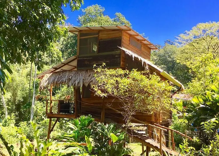 A Treehouse The Green Frog Romantic Setting & Pool