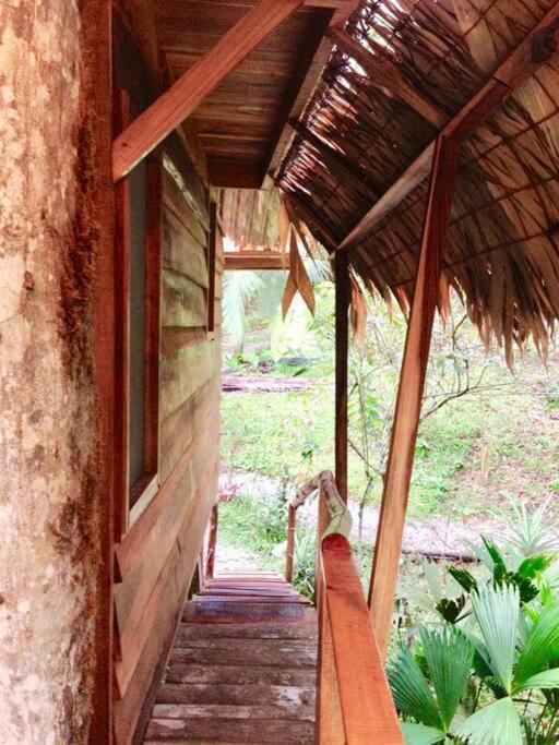 A Treehouse The Frog Romantic Setting & Pool * Puerto Viejo de Talamanca