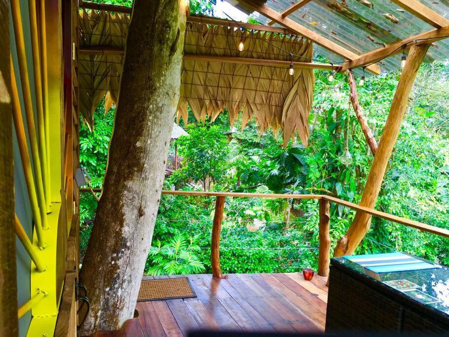Holiday home A Treehouse The Frog Romantic Setting & Pool *