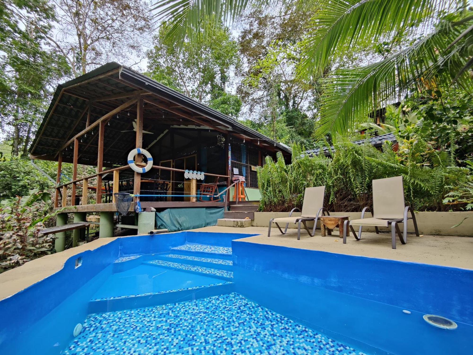 Holiday home A Treehouse The Frog Romantic Setting & Pool Puerto Viejo de Talamanca