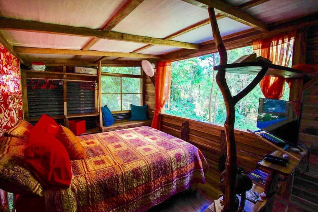 A Treehouse The Frog Romantic Setting & Pool * Puerto Viejo de Talamanca